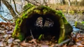 Krutynia i Nowy Mostek w grudniowych zdjęciach - zdjęcie 24