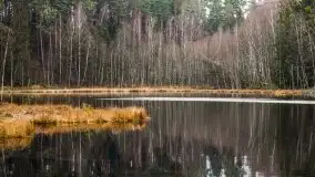 Krutynia i Nowy Mostek w grudniowych zdjęciach - zdjęcie 56