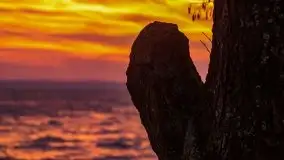 Piękny, grudniowy wschód słońca nad jeziorem Święcajty, 2020 - zdjęcie 39