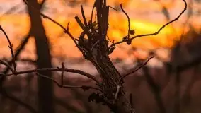 Piękny, grudniowy wschód słońca nad jeziorem Święcajty, 2020 - zdjęcie 28