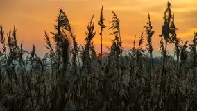 Piękny, grudniowy wschód słońca nad jeziorem Święcajty, 2020 - zdjęcie 31