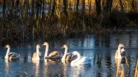 Grudniowe Mazury na zdjęciach Stanisława Sielewicza - zdjęcie 18