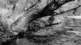 Przedwojenne zdjęcia Rucianego Nidy (Rudczanny, Niedersee) - zdjęcie 65