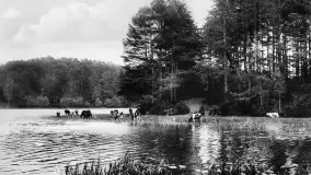 Przedwojenne zdjęcia Rucianego Nidy (Rudczanny, Niedersee) - zdjęcie 13