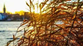 Grudniowy zachód słońca w Kętrzynie, 2020 - zdjęcie 20