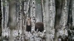 Mazurska flora i fauna na zdjęciach Jana Olchówki 2020 - zdjęcie 3