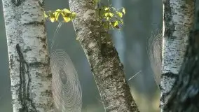 Mazurska flora i fauna na zdjęciach Jana Olchówki 2020 - zdjęcie 34