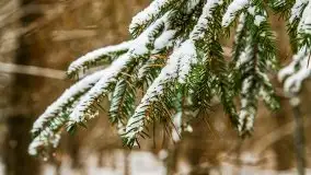 Zimowe i pochmurne kolory Mazur w okolicach Kruklanek - zdjęcie 55