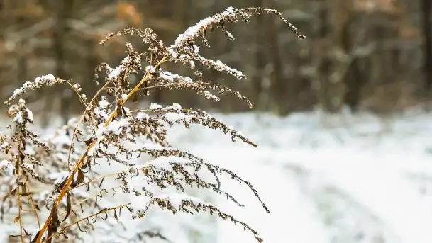 Zimowe i pochmurne kolory Mazur w okolicach Kruklanek - zdjęcie 4