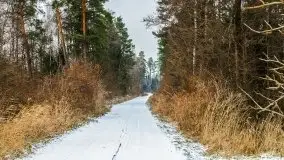 Zimowe i pochmurne kolory Mazur w okolicach Kruklanek - zdjęcie 5