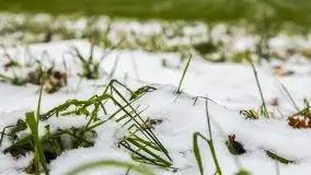 Zimowe i pochmurne kolory Mazur w okolicach Kruklanek - zdjęcie 35