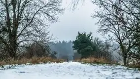 Zimowe i pochmurne kolory Mazur w okolicach Kruklanek - zdjęcie 65