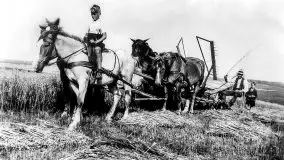 Przedwojenne zdjęcia Pisza (Johannisburg) - zdjęcie 49