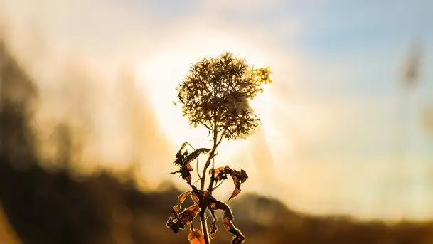 Późno jesienne jezioro Śniardwy i Okartowo 2020 r. - zdjęcie 7