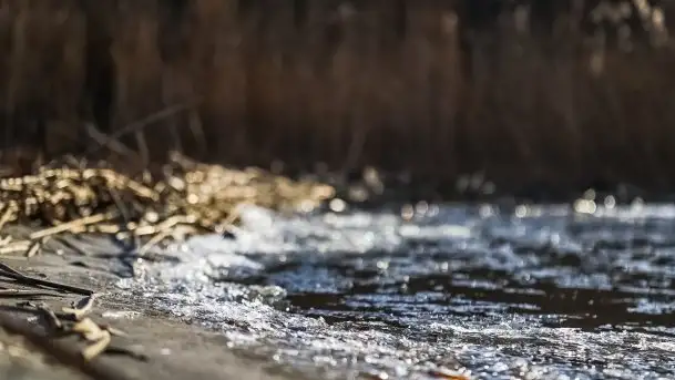 Późno jesienne jezioro Śniardwy i Okartowo 2020 r. - zdjęcie 6