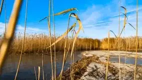 Późno jesienne jezioro Śniardwy i Okartowo 2020 r. - zdjęcie 24