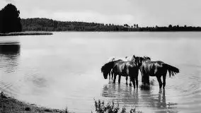 Przedwojenne zdjęcia Mrągowa (Sensburg) - zdjęcie 123