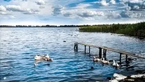 Przedwojenne pokolorowane zdjęcia Mikołajek (Nikolaiken) - zdjęcie 14