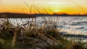 Wschód słońca nad jeziorem Gołdopiwo - zdjęcie 18