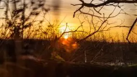 Wschód słońca nad jeziorem Gołdopiwo - zdjęcie 51