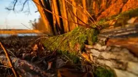 Wschód słońca nad jeziorem Gołdopiwo - zdjęcie 44