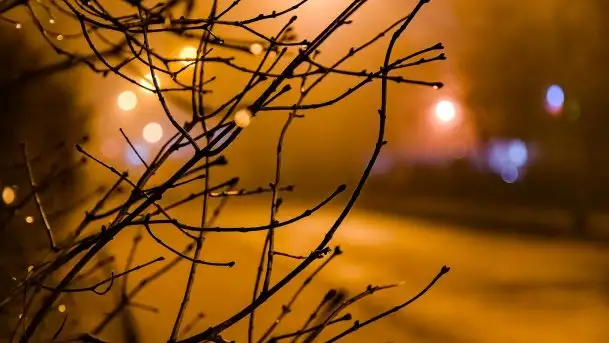 Mglista noc Sylwestrowa w Giżycku - zdjęcie 9