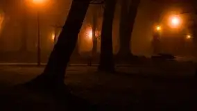 Mglista noc Sylwestrowa w Giżycku - zdjęcie 27