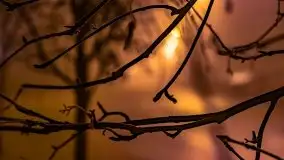 Mglista noc Sylwestrowa w Giżycku - zdjęcie 26