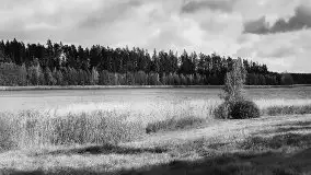 Przedwojenne zdjęcia Wydmin (Wydminnen) - zdjęcie 12