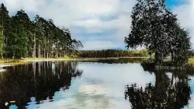 Przedwojenne i pokolorowane zdjęcia Rucianego Nidy (Rudczanny, Niedersee) - zdjęcie 12