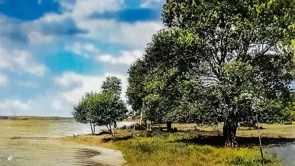 Przedwojenne i pokolorowane zdjęcia Rucianego Nidy (Rudczanny, Niedersee) - zdjęcie 3