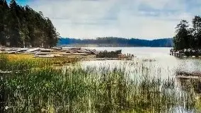 Przedwojenne i pokolorowane zdjęcia Rucianego Nidy (Rudczanny, Niedersee) - zdjęcie 69