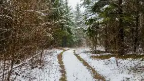 Zimowa szarówka w okolicach Kruklina, Gawlika Małego i Wydmin - zdjęcie 17