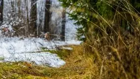 Zimowa szarówka w okolicach Kruklina, Gawlika Małego i Wydmin - zdjęcie 46