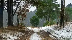 Zimowa szarówka w okolicach Kruklina, Gawlika Małego i Wydmin - zdjęcie 38