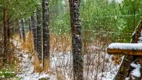 Zimowa szarówka w okolicach Kruklina, Gawlika Małego i Wydmin - zdjęcie 45