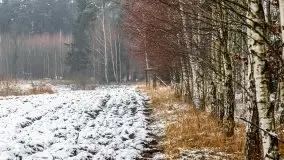 Zimowa szarówka w okolicach Kruklina, Gawlika Małego i Wydmin - zdjęcie 47