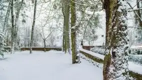 Posypało na Mazurach - zobacz okolice wsi Gajrowskie i Orłowo - zdjęcie 3