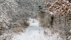Posypało na Mazurach - zobacz okolice wsi Gajrowskie i Orłowo - zdjęcie 31