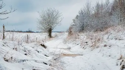 Posypało na Mazurach - zobacz okolice wsi Gajrowskie i Orłowo