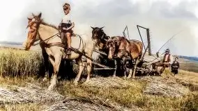 Przedwojenne kolorowe zdjęcia Pisza (Johannisburg) - zdjęcie 52