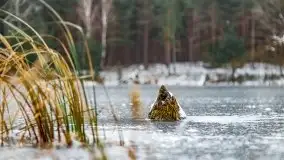 Zima nad jeziorem Wesołek, okolice Rucianej Nidy - zdjęcie 4