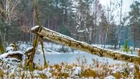 Zima nad jeziorem Wesołek, okolice Rucianej Nidy - zdjęcie 24