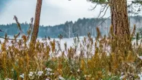 Zima nad jeziorem Wesołek, okolice Rucianej Nidy - zdjęcie 18