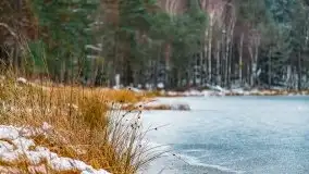 Zima nad jeziorem Wesołek, okolice Rucianej Nidy - zdjęcie 56