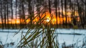 Zimowy zachód słońca między jeziorem Dargin i Sztynorckie - zdjęcie 8