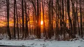 Zimowy zachód słońca między jeziorem Dargin i Sztynorckie - zdjęcie 19