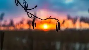 Zimowy zachód słońca między jeziorem Dargin i Sztynorckie - zdjęcie 26