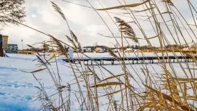 Zima na Mazurach - Port Dla Mew - zdjęcie 29