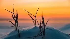 Zimowy wschód słońca nad jeziorem Dargin i... -27 stopni - zdjęcie 13